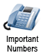 Important Phone Numbers